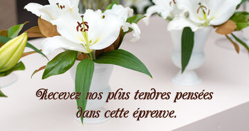 Aperçu de la carte : Recevez nos plus tendres pensées 
dans cette épreuve.