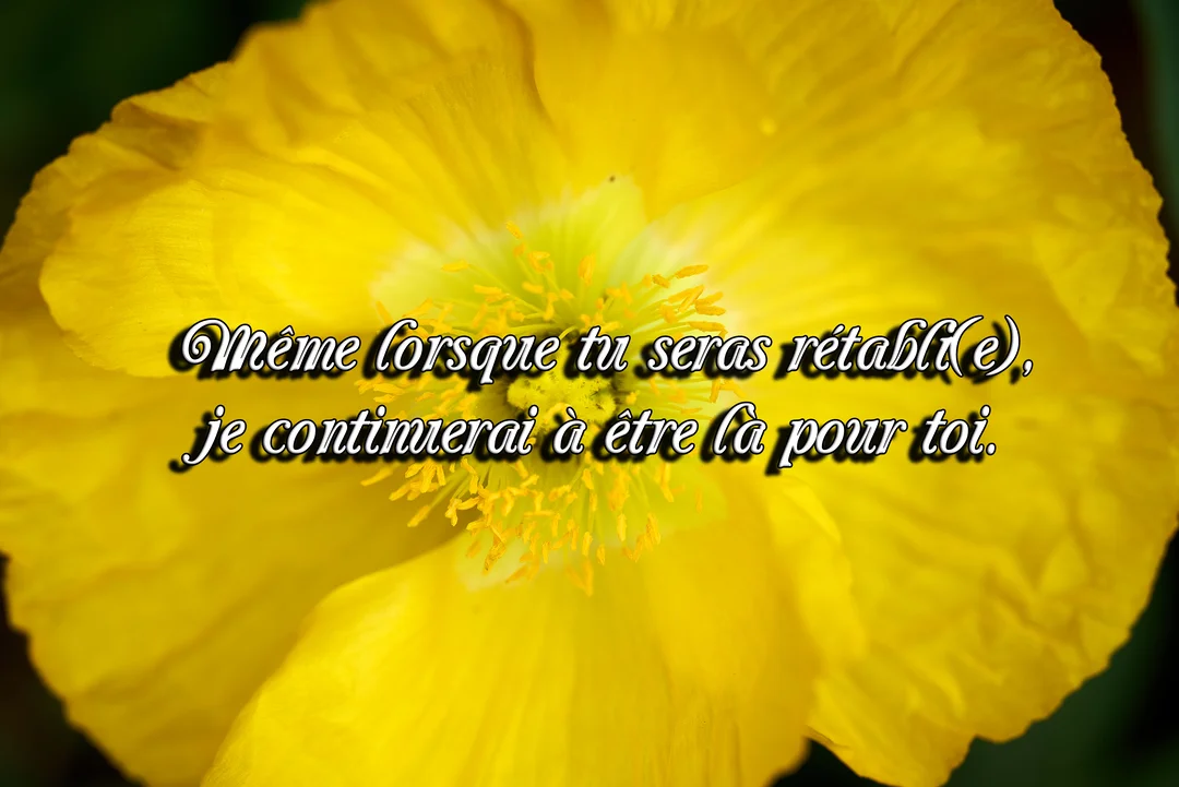 Gros plan sur le cœur d'une fleur jaune aux pétales lumineux, avec un message de soutien durable écrit en superposition au centre.