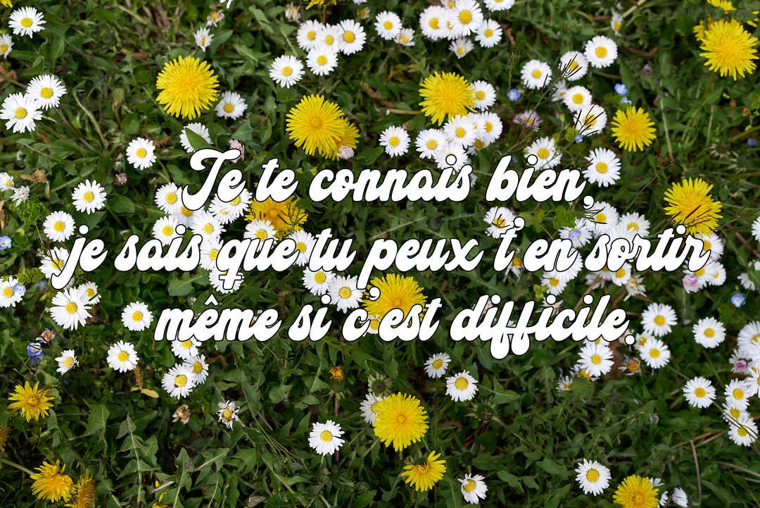 Vue de dessus d'un parterre fleuri de pâquerettes blanches et de pissenlits jaunes, avec un message de réconfort superposé en écriture blanche.