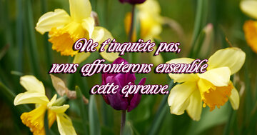 Aperçu de la carte : Ne t'inquiète pas, 
nous affronterons ensemble 
cette épreuve.