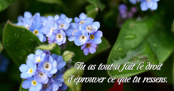 Aperçu de la carte : « Tu as le droit d'éprouver ce que tu ressens... »