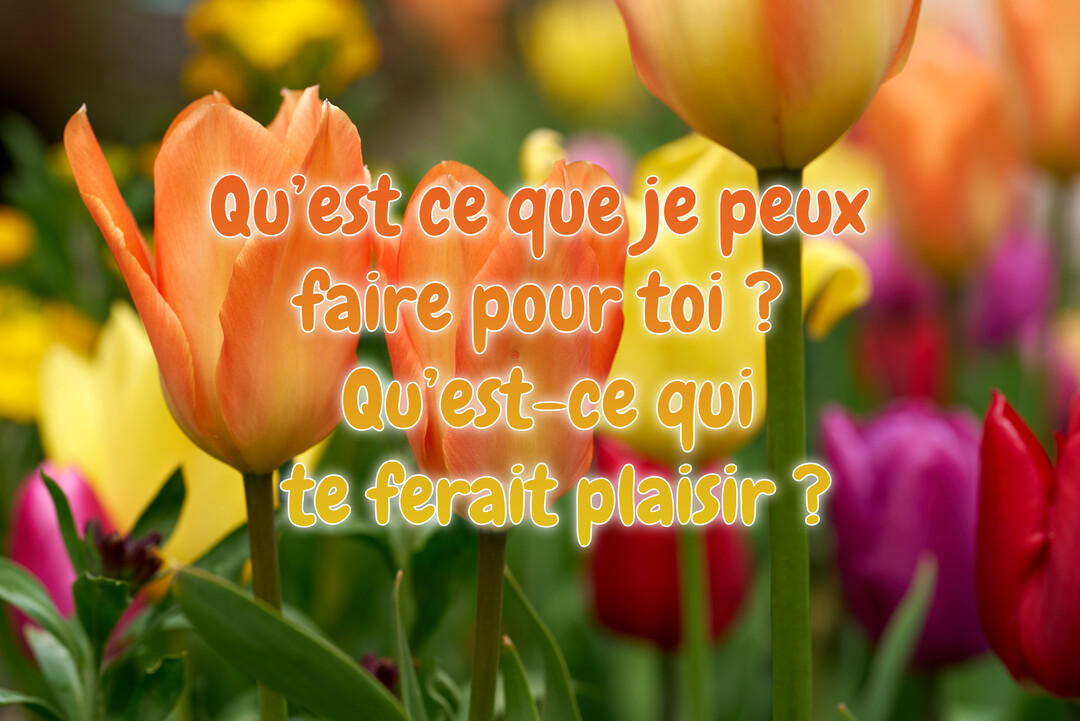 Une photographie en gros plan d'un champ de tulipes multicolores (orange, jaunes, violettes) avec un texte superposé offrant de l'aide et du réconfort.