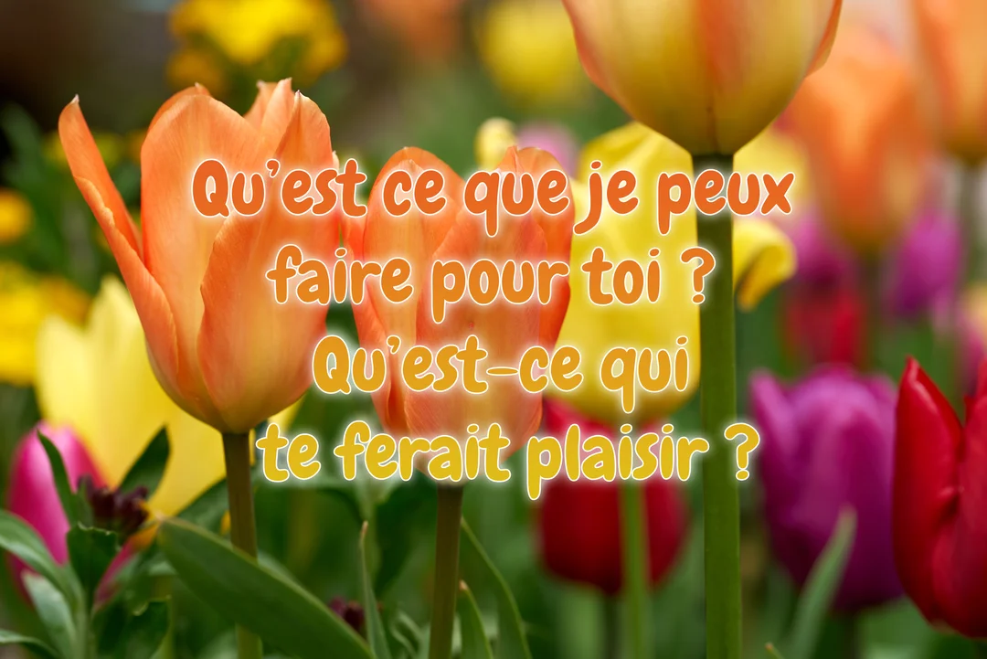 Une photographie en gros plan d'un champ de tulipes multicolores (orange, jaunes, violettes) avec un texte superposé offrant de l'aide et du réconfort.