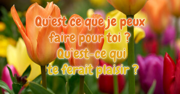 Aperçu de la carte : « Qu'est ce que je peux faire pour toi ?... »