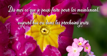 Aperçu de la carte : « Dis-moi ce que je peux faire pour toi maintenant, aujourd'hui ou... »