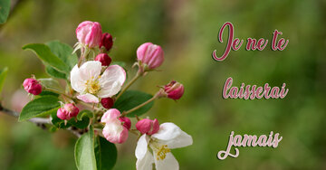 Aperçu de la carte : Je ne te 
laisserai
 jamais 
tomber.