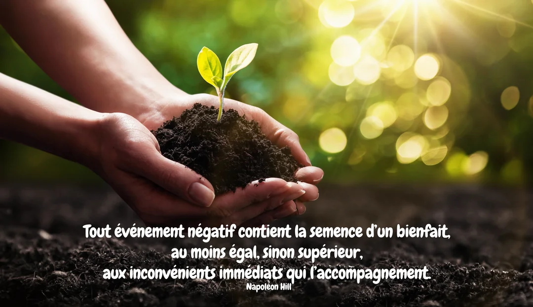 Une jeune pousse verte émerge d'une poignée de terre tenue dans des mains en coupe, baignée par une lumière solaire éclatante à l'arrière-plan.
