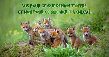 Aperçu de la carte : « Vis pour ce que demain a à t'offrir... »