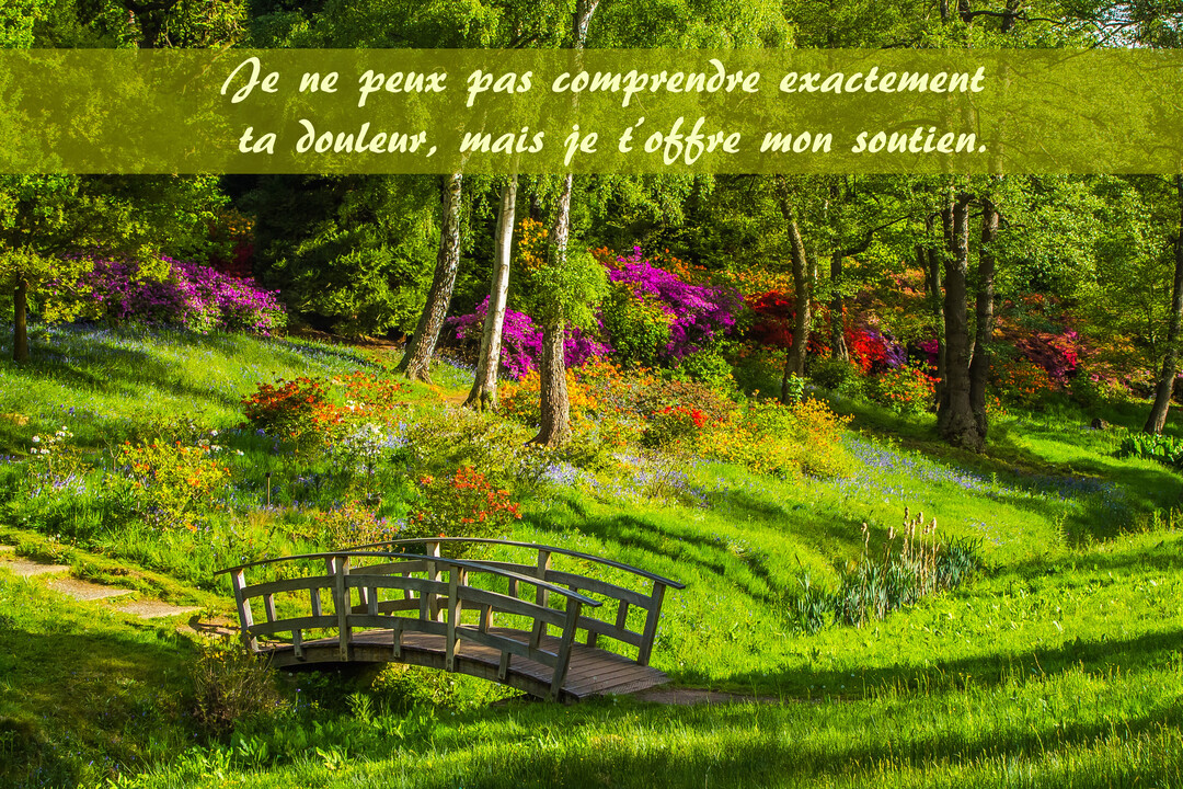 Un petit pont en bois arqué enjambe un creux dans une prairie verdoyante, entouré d'arbres et de massifs de fleurs multicolores.