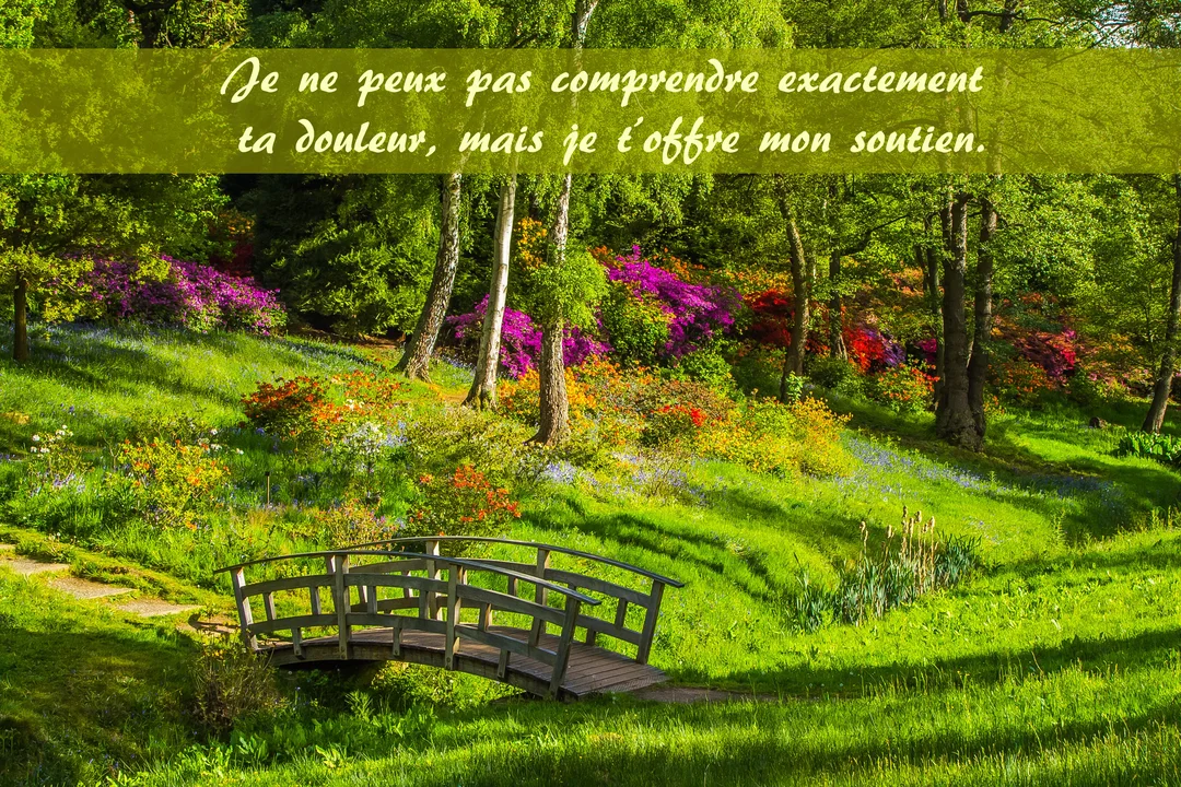 Un petit pont en bois arqué enjambe un creux dans une prairie verdoyante, entouré d'arbres et de massifs de fleurs multicolores.