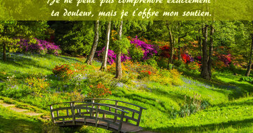 Aperçu de la carte : Je ne peux pas comprendre exactement ta douleur, mais je t'offre mon soutien.