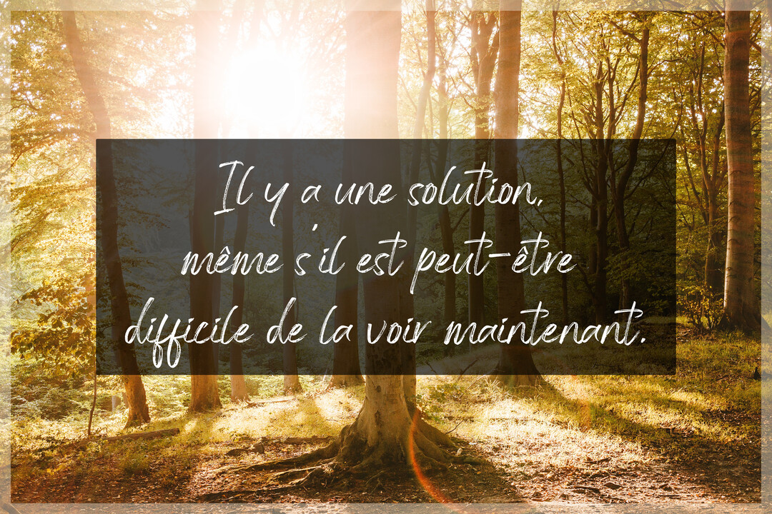 Une forêt ensoleillée où les rayons du soleil percent à travers les arbres, éclairant un chemin et un message de réconfort superposé.