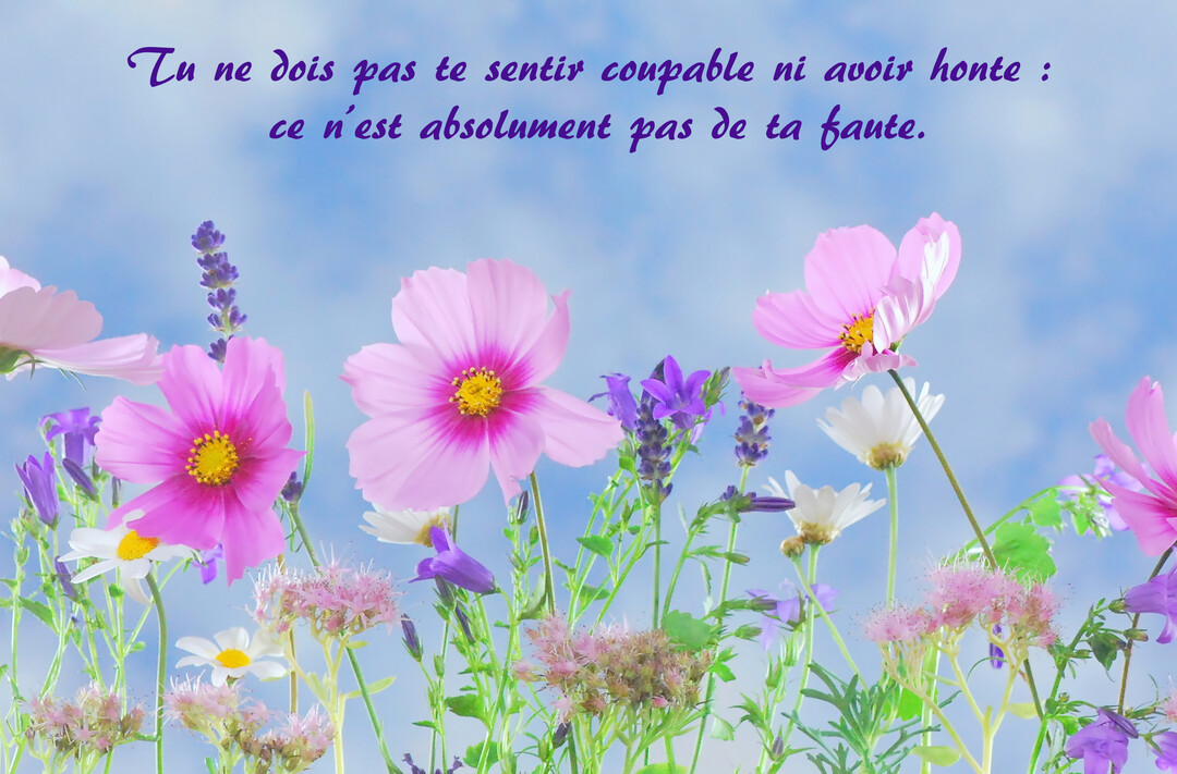 Un parterre de fleurs des champs aux teintes roses, violettes et blanches se détache sur un ciel bleu parsemé de nuages légers.