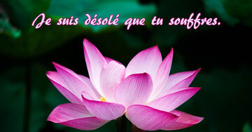 Aperçu de la carte : Je suis désolé que tu souffres.