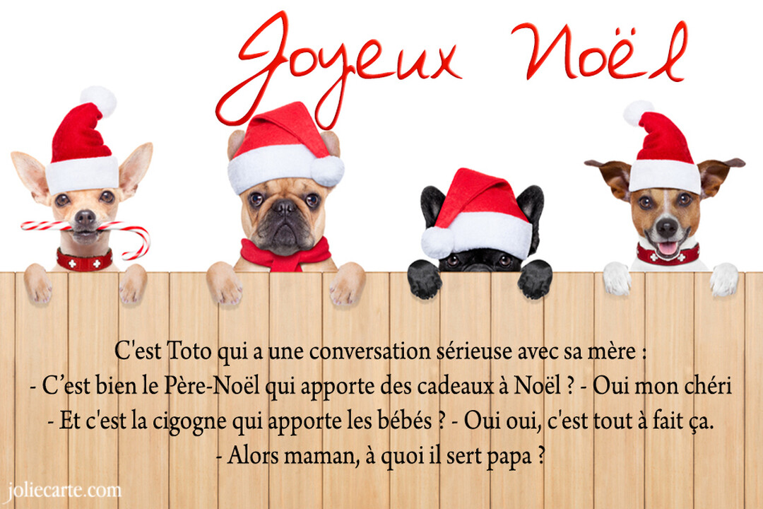 Quatre chiens de races différentes coiffés de bonnets de Noël regardent par-dessus une palissade en bois, sous l'inscription 'Joyeux Noël'.