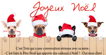 Aperçu de la carte : « Si le Père-Noël apporte les cadeaux et la cigogne les bébés... à quoi sert papa ? »...