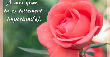 Aperçu de la carte : À mes yeux, tu es tellement important(e).