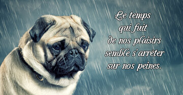 Aperçu de la carte : « Le temps qui fuit de nos plaisirs semble s'arrêter... »