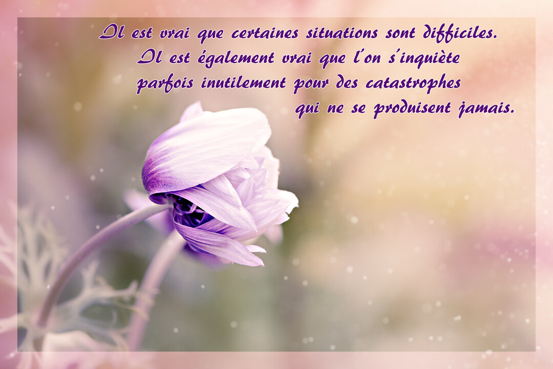Une anémone aux pétales violets et blancs se penche délicatement sur un fond pastel flou, accompagnée d'un texte de réconfort.