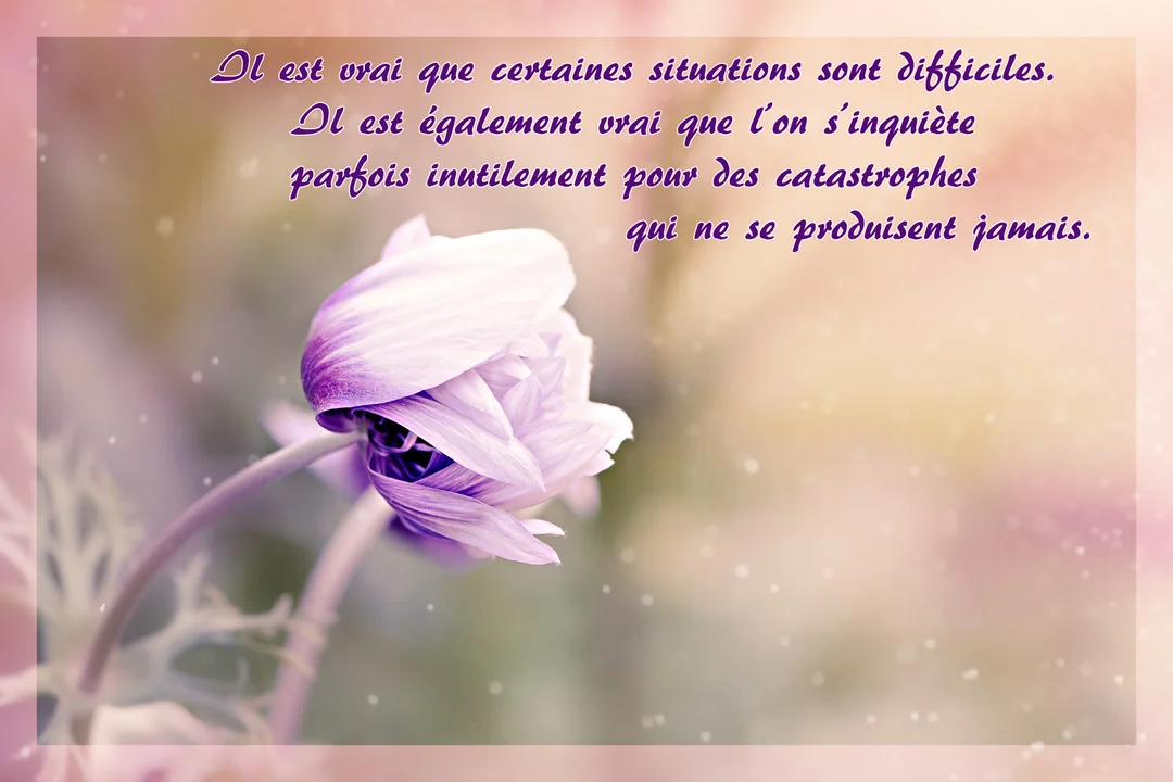 Une anémone aux pétales violets et blancs se penche délicatement sur un fond pastel flou, accompagnée d'un texte de réconfort.