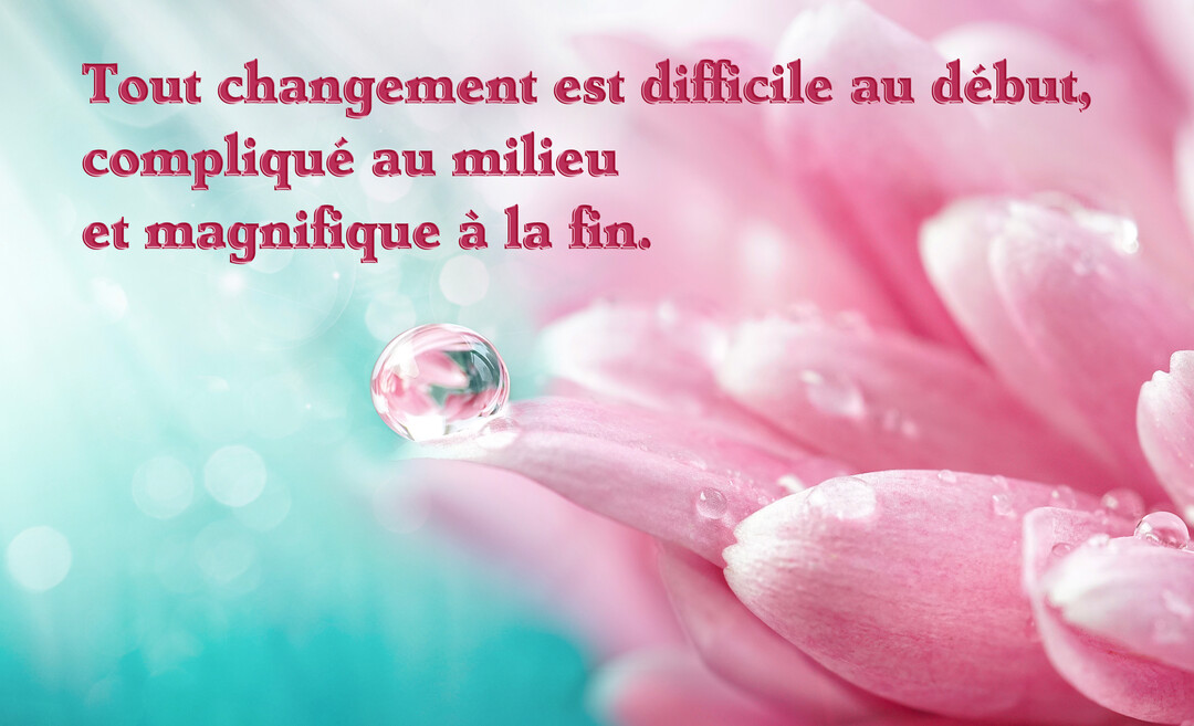 Une photographie en macro d'une goutte de rosée posée sur le pétale rose d'une fleur de gerbera, sur un fond turquoise lumineux.