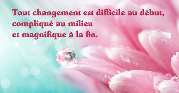 Aperçu de la carte : « Tout changement est difficile au début, compliqué au milieu... »