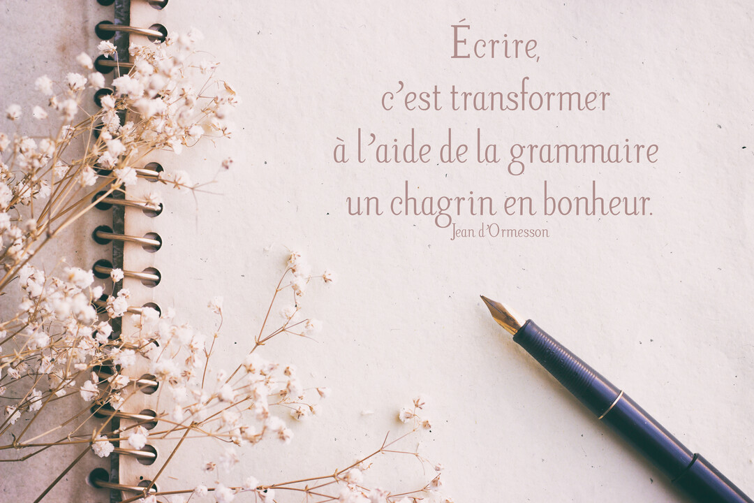 Sur un papier texturé, un carnet à spirales est posé avec un stylo-plume et des brins de gypsophile séchée.