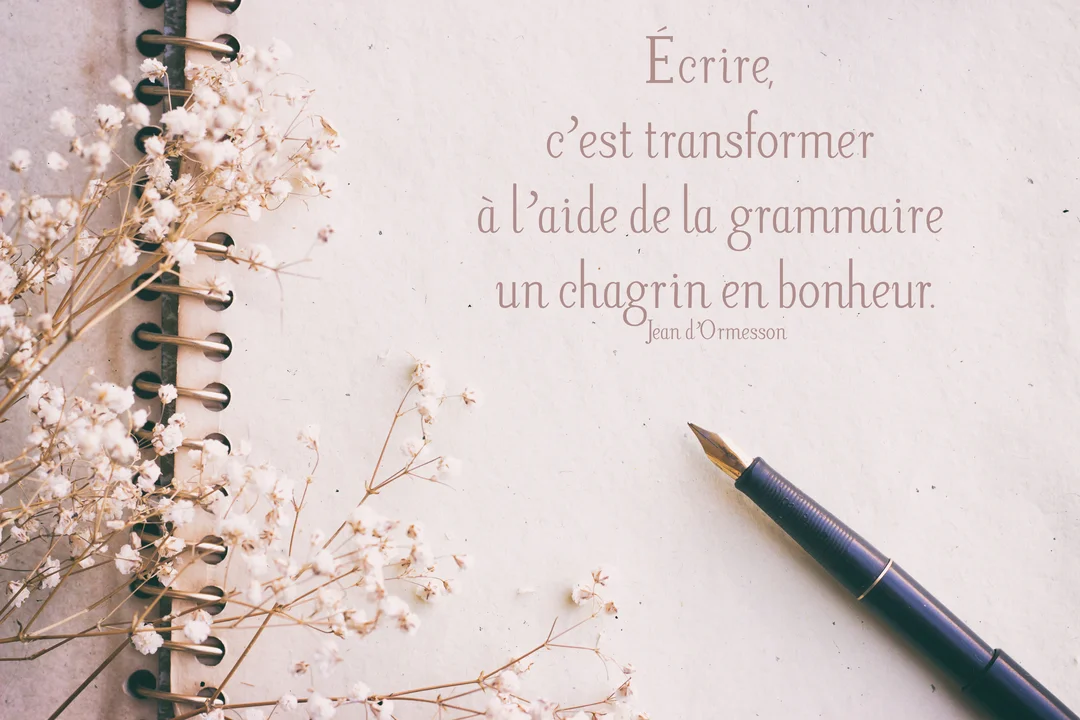 Sur un papier texturé, un carnet à spirales est posé avec un stylo-plume et des brins de gypsophile séchée.