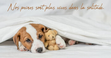 Aperçu de la carte : Nos peines sont plus vives dans la solitude.
