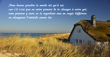 Aperçu de la carte : « Nous devons prendre le monde tel qu'il est... en changeant d'attitude envers lui. »
