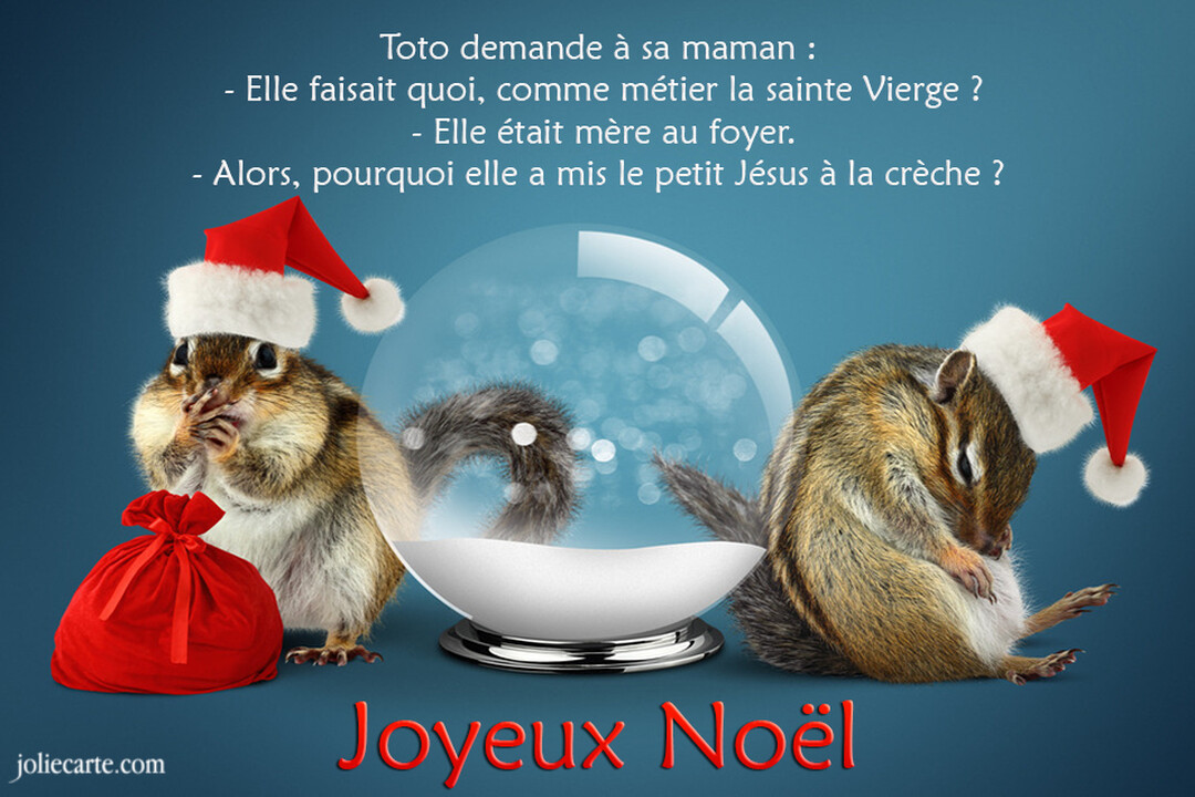 Deux tamias portant des bonnets de Noël sont assis de chaque côté d'une boule à neige, sur un fond bleu avec un texte humoristique.