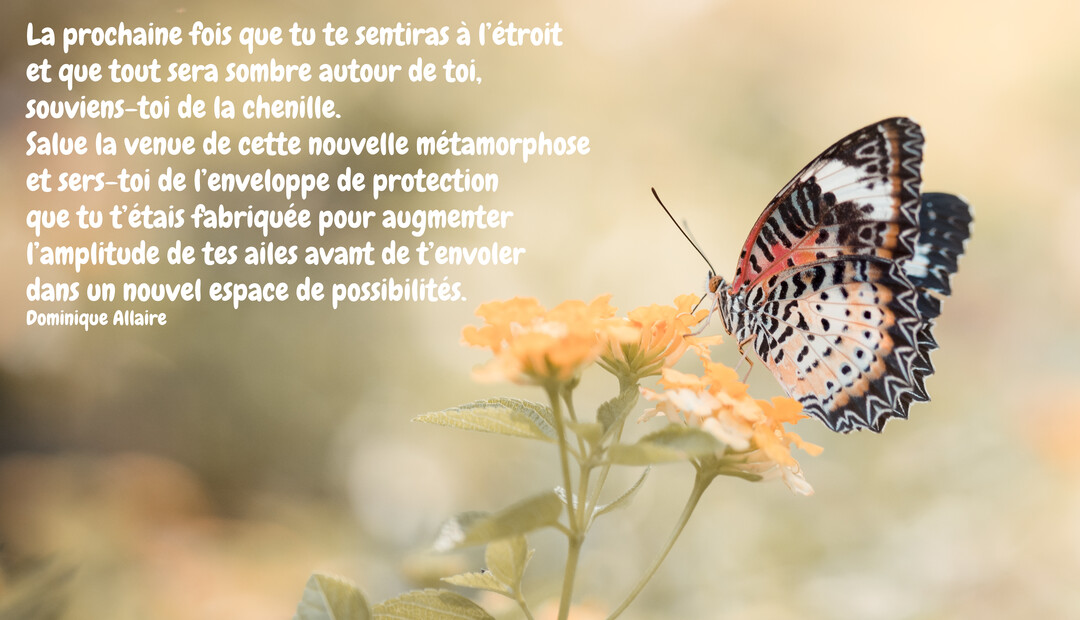 Un papillon aux ailes délicates oranges, blanches et noires, butine une fleur jaune sur un fond doux et lumineux évoquant l'espoir.