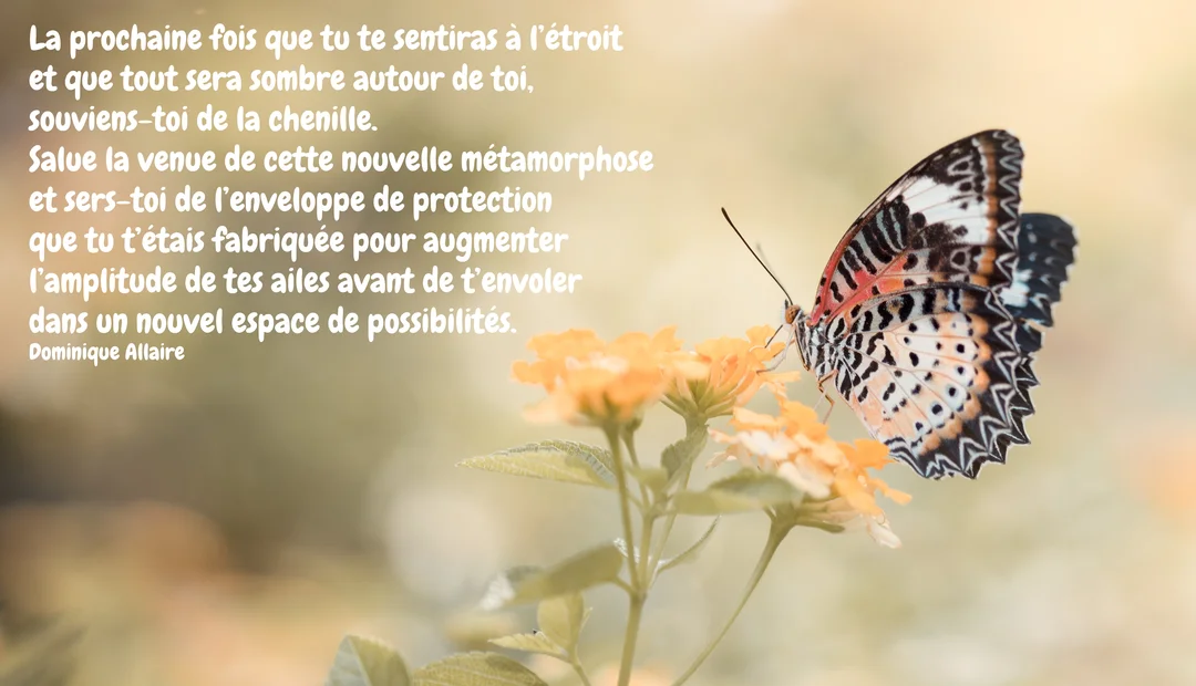 Un papillon aux ailes délicates oranges, blanches et noires, butine une fleur jaune sur un fond doux et lumineux évoquant l'espoir.