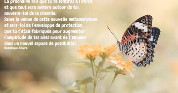 Aperçu de la carte : « La prochaine fois que tu te sentiras à l'étroit... souviens-toi de la chenille... »