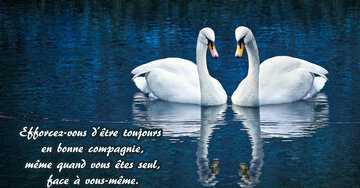 Aperçu de la carte : « Efforcez-vous d'être toujours en bonne compagnie, même quand vous êtes seul... »