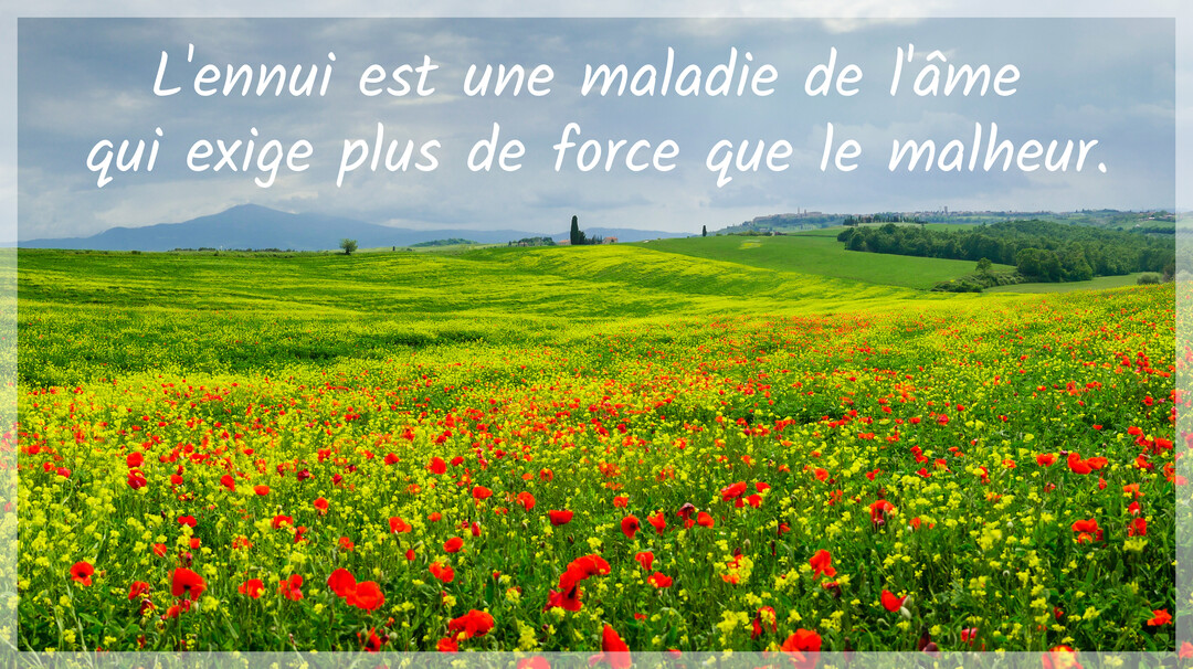 Un vaste champ de fleurs rouges et jaunes s'étend sur des collines verdoyantes sous un ciel couvert, avec une citation sur l'ennui.