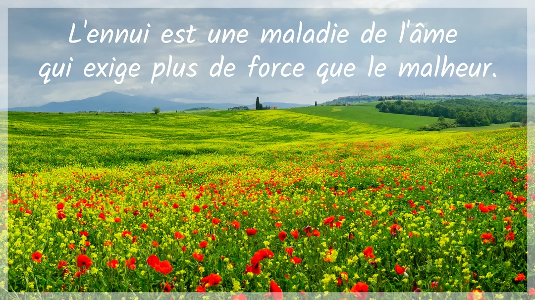 Un vaste champ de fleurs rouges et jaunes s'étend sur des collines verdoyantes sous un ciel couvert, avec une citation sur l'ennui.
