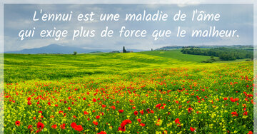 Aperçu de la carte : « L'ennui est une maladie de l'âme qui exige plus de force... »