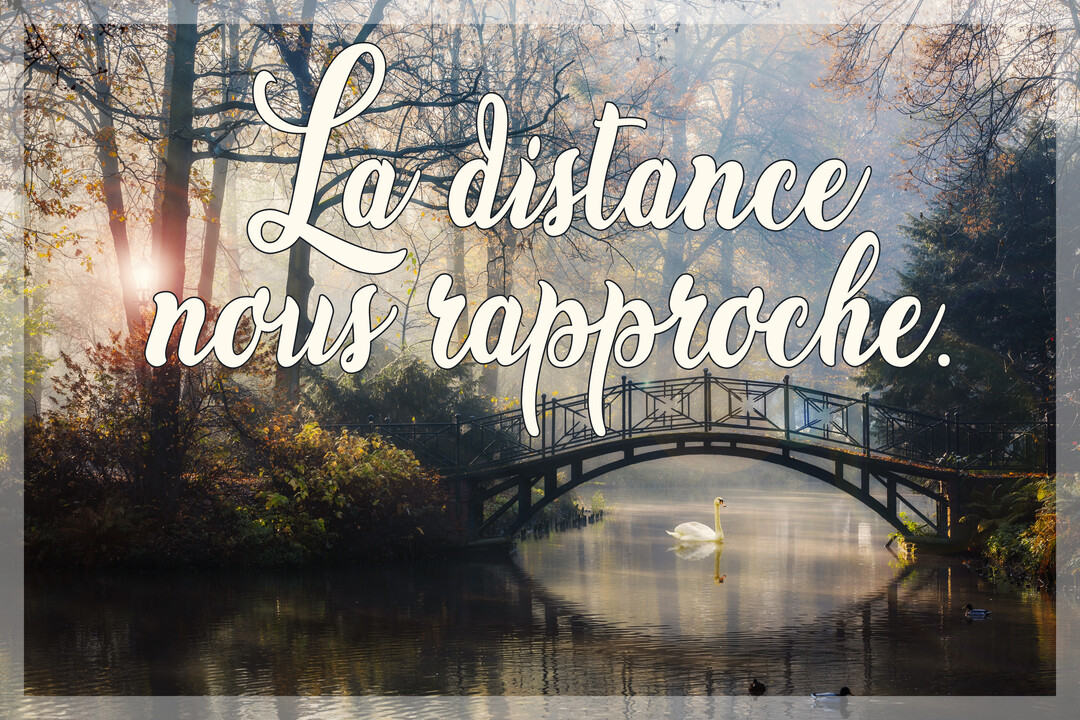 Paysage automnal brumeux avec un pont enjambant une rivière où flotte un cygne blanc, sous un soleil matinal perçant les arbres.