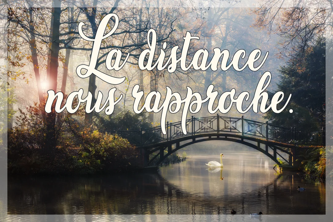 Paysage automnal brumeux avec un pont enjambant une rivière où flotte un cygne blanc, sous un soleil matinal perçant les arbres.