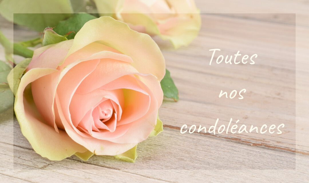 Une rose aux pétales rose pâle et crème repose sur une surface en bois clair, accompagnée du message de condoléances écrit à sa droite.