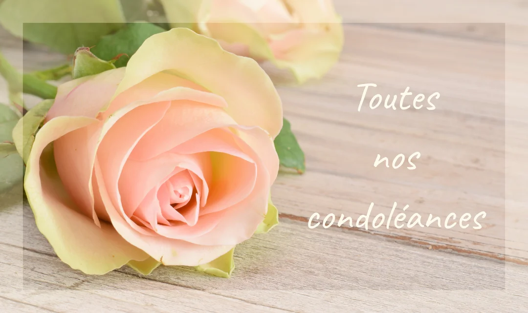 Une rose aux pétales rose pâle et crème repose sur une surface en bois clair, accompagnée du message de condoléances écrit à sa droite.