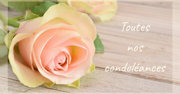 Aperçu de la carte : Toutes
nos
condoléances