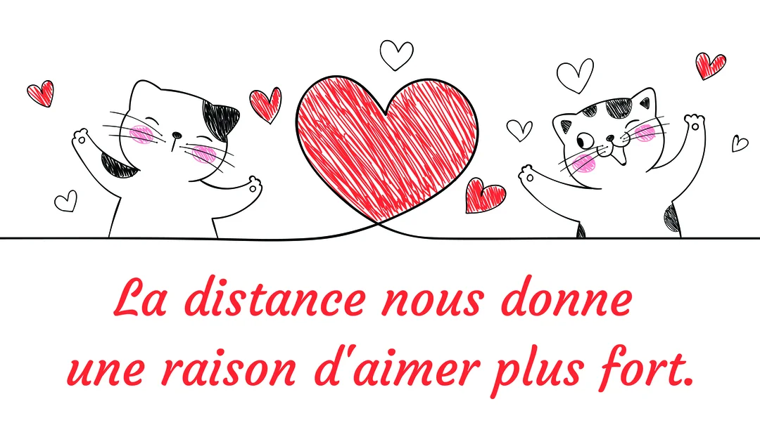 Illustration au trait de deux chats heureux se faisant face, leurs corps formant un grand cœur rouge au centre sur fond blanc.
