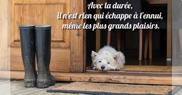 Aperçu de la carte : « Avec la durée, il n'est rien qui échappe à l'ennui... »