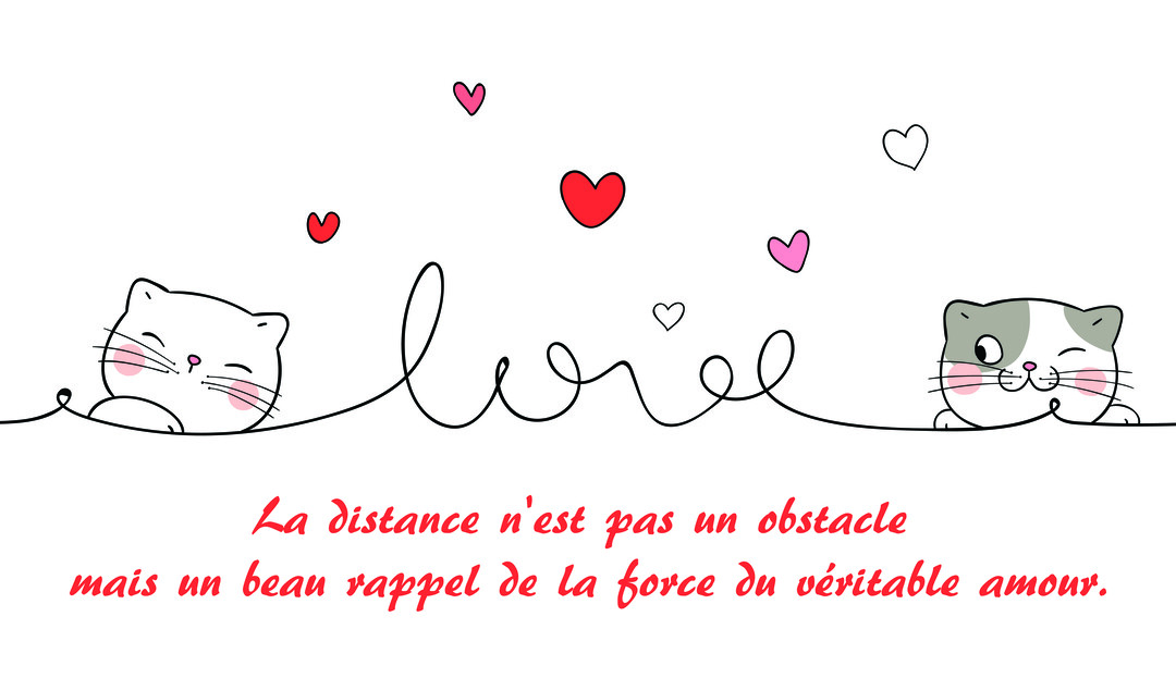 Une illustration minimaliste montre deux chats de dessin animé reliés par un fil noir qui forme le mot 'love', avec des cœurs flottants.