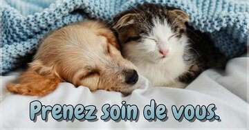 Aperçu de la carte : Prenez soin de vous.