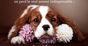 Aperçu de la carte : « À vouloir toujours être aimé des autres, on perd l'amour de soi... »