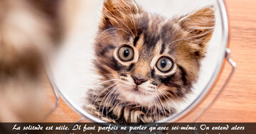 Aperçu de la carte : « La solitude est utile. Il faut parfois ne parler qu'avec soi-même... »