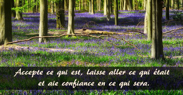 Aperçu de la carte : « Accepte ce qui est, laisse aller ce qui était et aie confiance... »